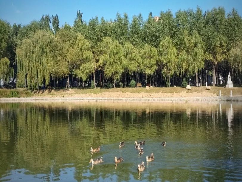 沈阳北部医院级别_沈阳北部医院是三甲医院吗_沈阳北部医院是正规医院吗