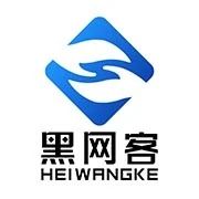 黑网客软件定制