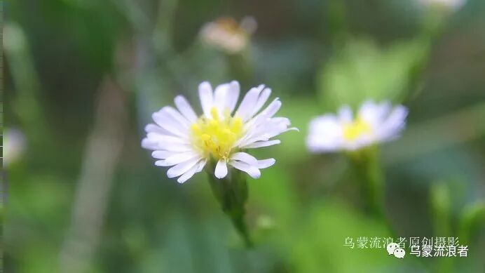 好大一个坑，老师要小心！