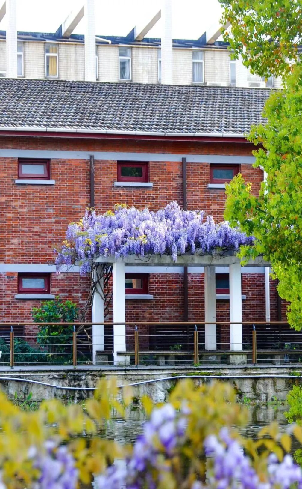 上海师范大学2025年入学mba第二批预面试在线申请开放中! - mbachina