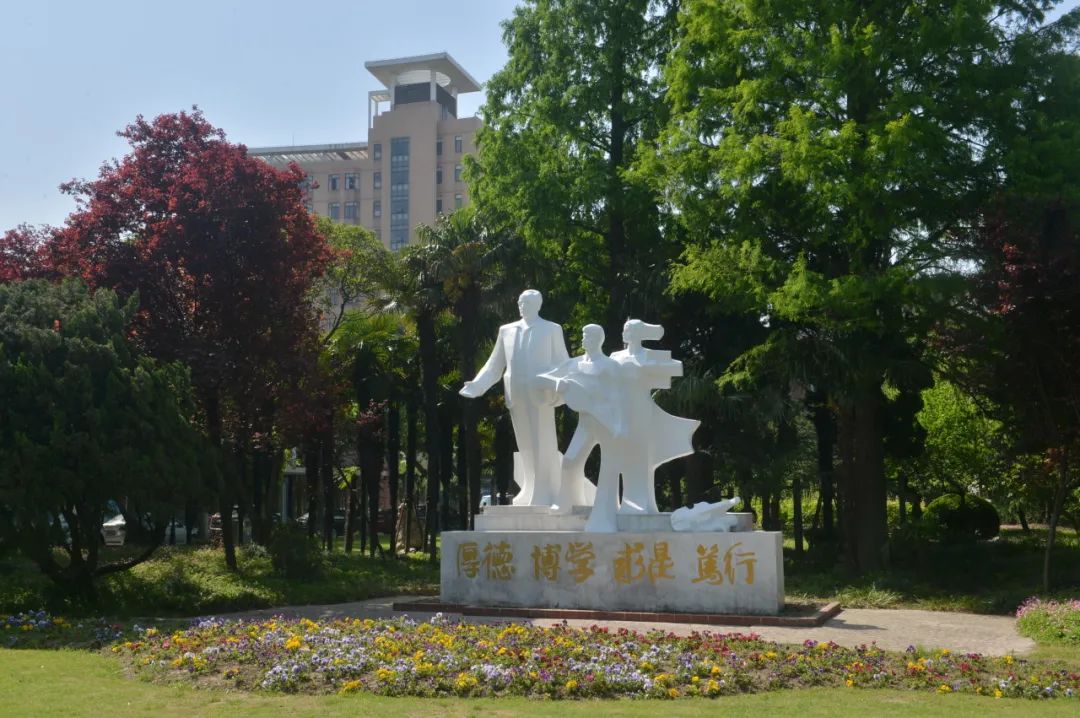 上海师范大学青年学院图片