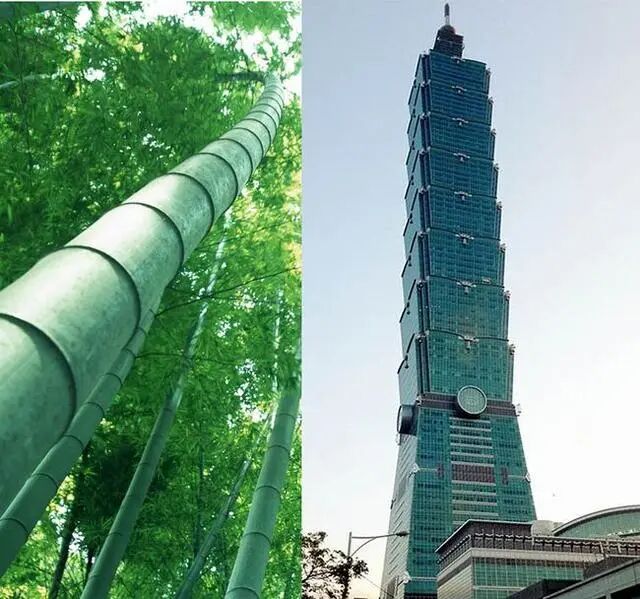 好望角 | 中国·台北101，曾经是世界最具影响力的高层建筑之一