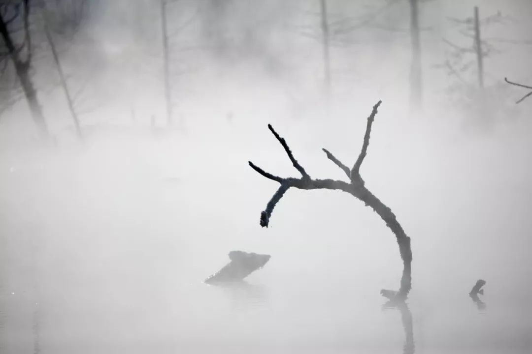 中國霧凇觀賞指南 旅行 第9張