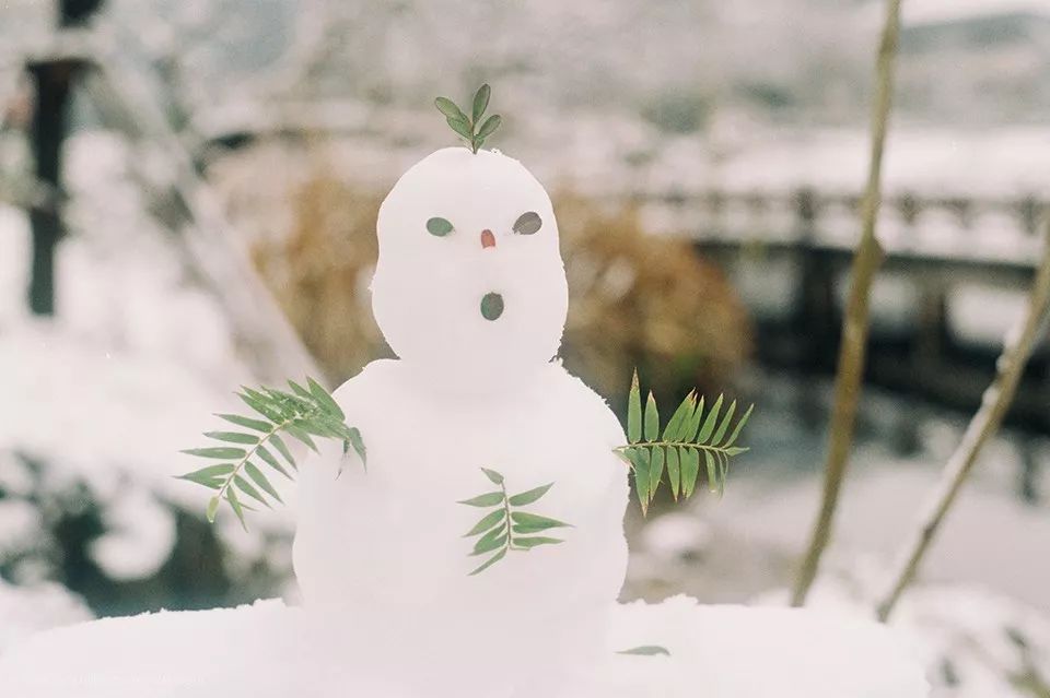 2019，玩雪勝地都在這！ 旅遊 第10張