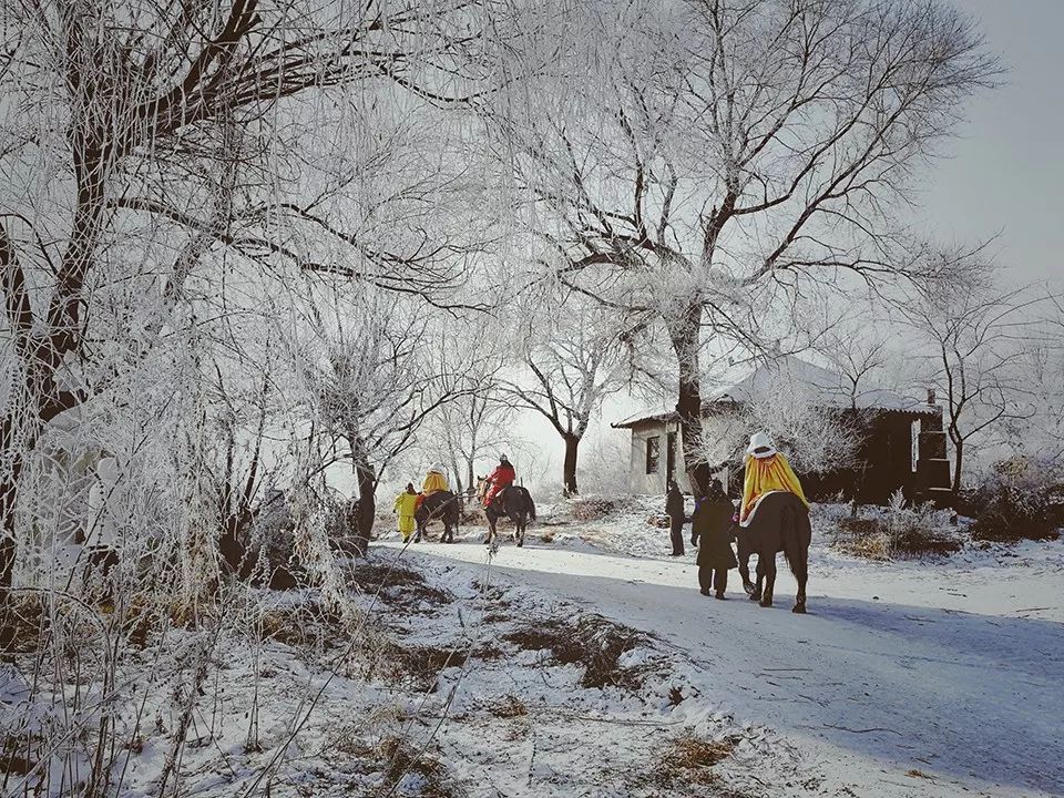 看霧凇、打雪仗、去冰釣……是時候囤一場關於雪的旅行了！ 旅行 第4張