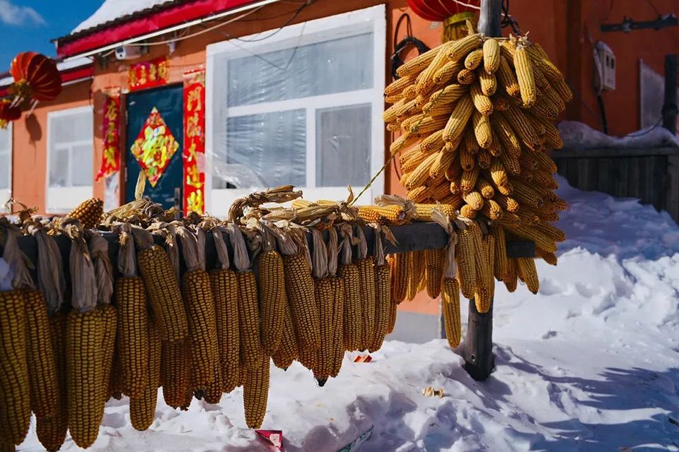 看霧凇、打雪仗、去冰釣……是時候囤一場關於雪的旅行了！ 旅行 第14張