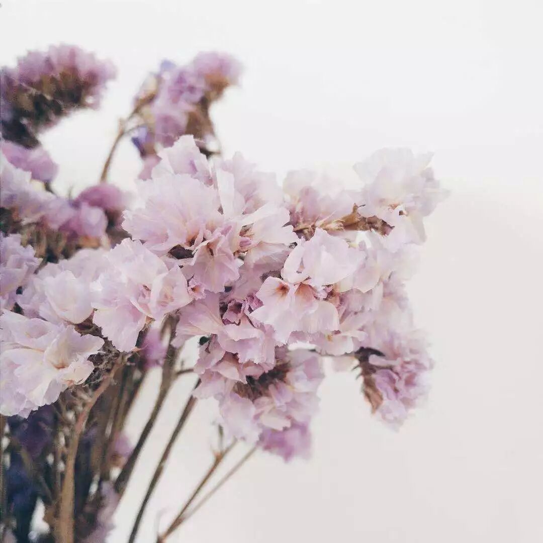 记忆 ‖ 谢谢你来过。