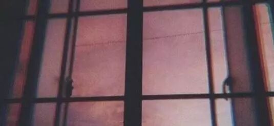 随想 | 你被写在我的歌里