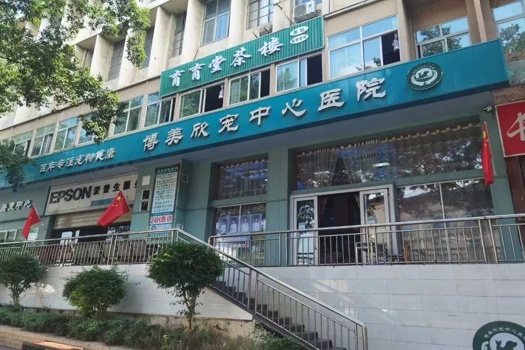重庆宠物医院_重庆324医院是什么医院_重庆大坪医院拔牙医院