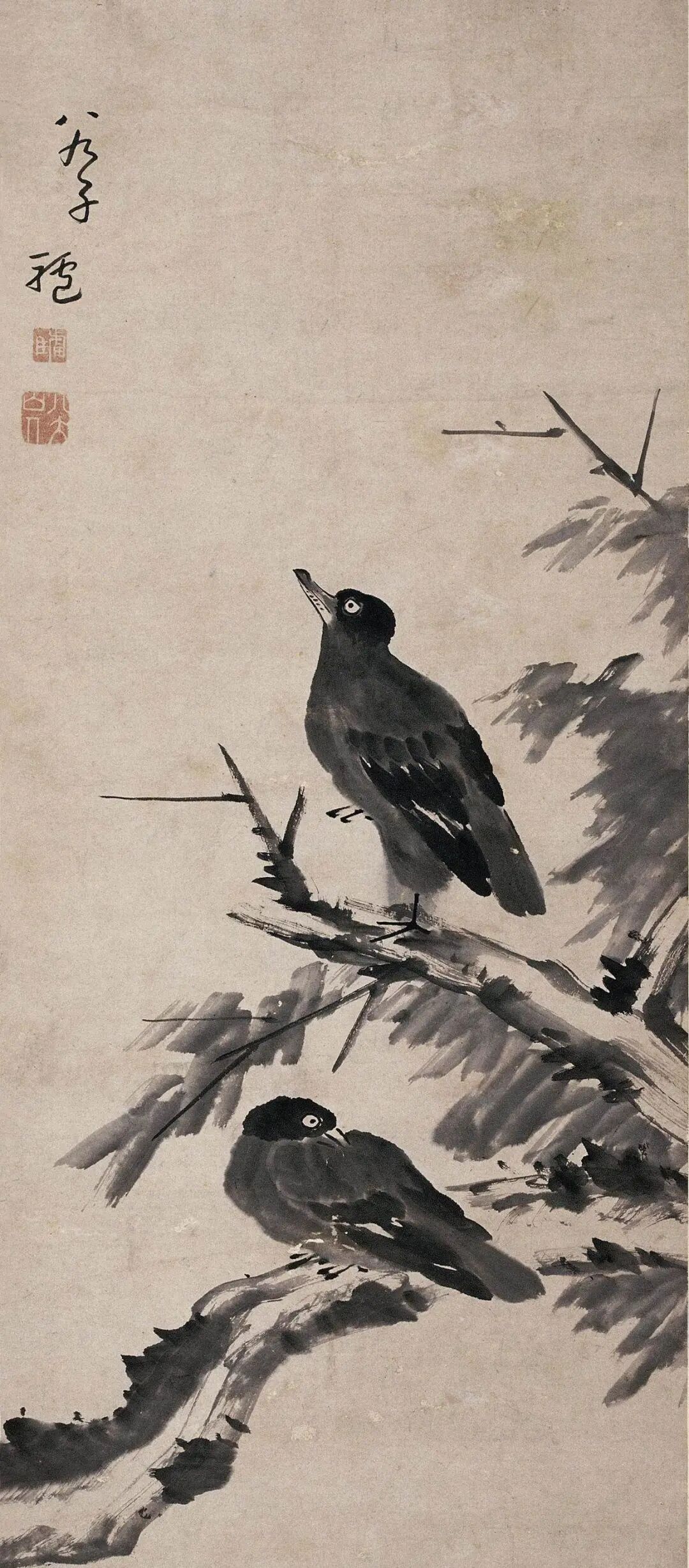 驢圖片大全大圖簡筆畫_驢圖片_驢圖片大全搞笑可愛