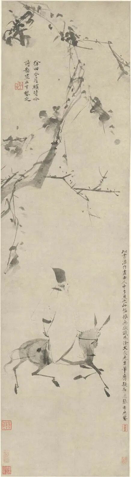 驢圖片大全大圖簡筆畫_驢圖片_驢圖片大全搞笑可愛