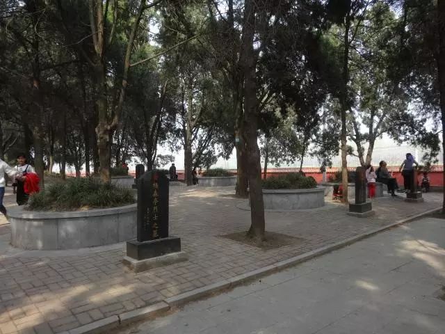 芈月墓出土文物_考古发现芈月墓纪录片_芈月墓遗址
