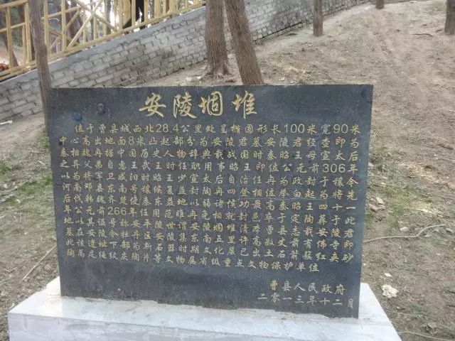 芈月墓遗址_考古发现芈月墓纪录片_芈月墓出土文物
