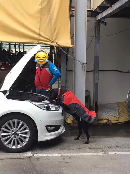 網友去修車，發現店里只有一只狗在，結果它的舉動笑噴了... 未分類 第2張