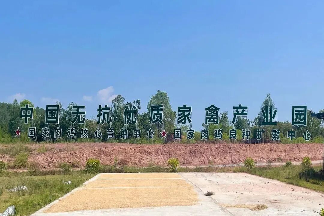 7.河源基地.jpg