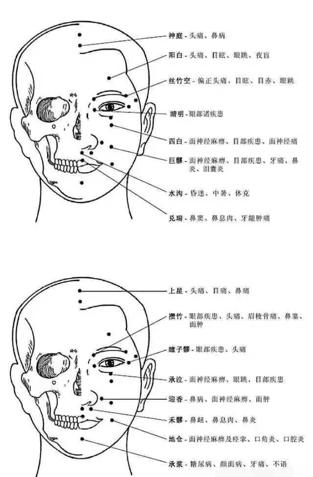 [转载]完整的人体穴位图及功效