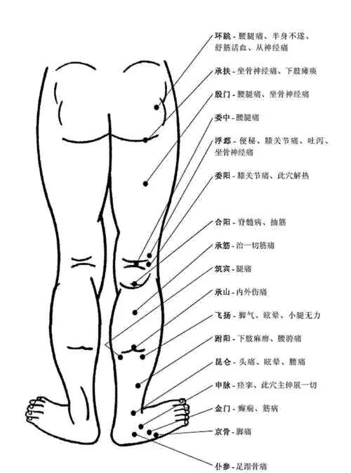 [转载]完整的人体穴位图及功效