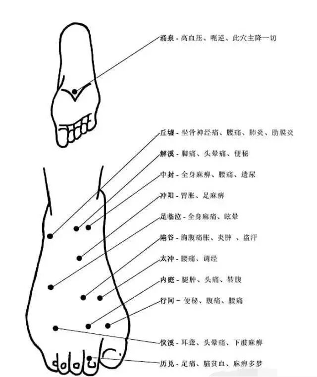 [转载]完整的人体穴位图及功效