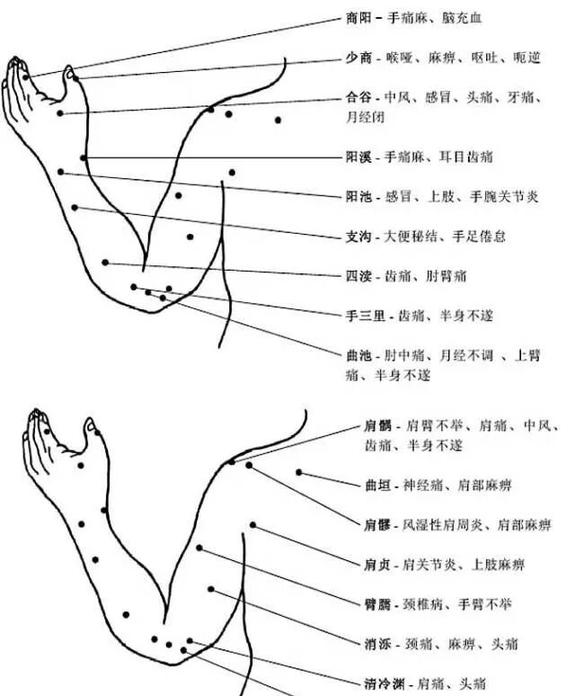 [转载]完整的人体穴位图及功效