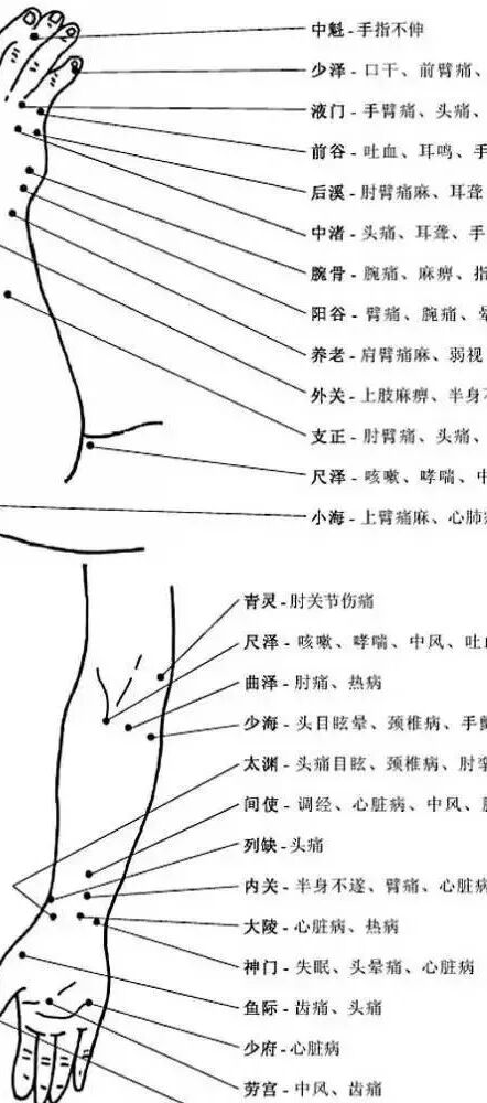 [转载]完整的人体穴位图及功效