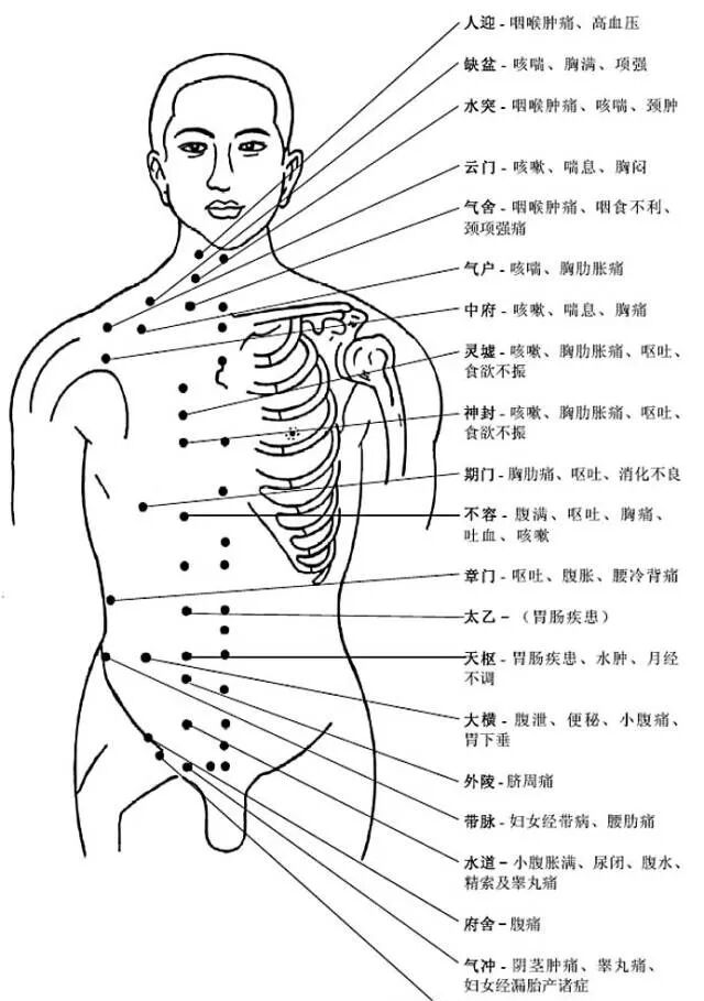[转载]完整的人体穴位图及功效