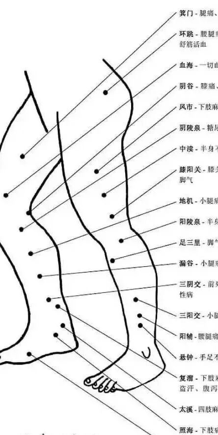 [转载]完整的人体穴位图及功效