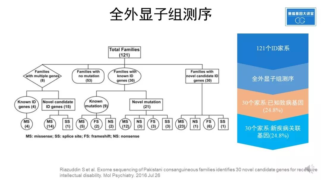 基因检查结果野生型什么意思_基因检测什么叫野生型_基因检测全是野生型好是不好