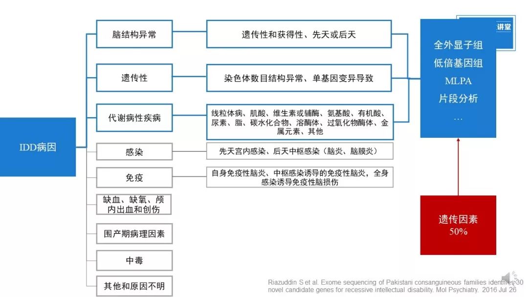 基因检测全是野生型好是不好_基因检查结果野生型什么意思_基因检测什么叫野生型