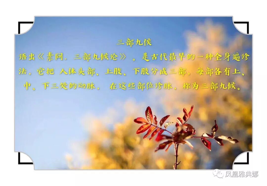 中成药分享之八：小柴胡颗粒