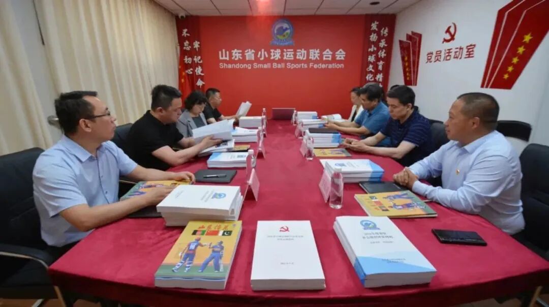 民政部蒋玮一行莅临山东省小球运动联合会调研