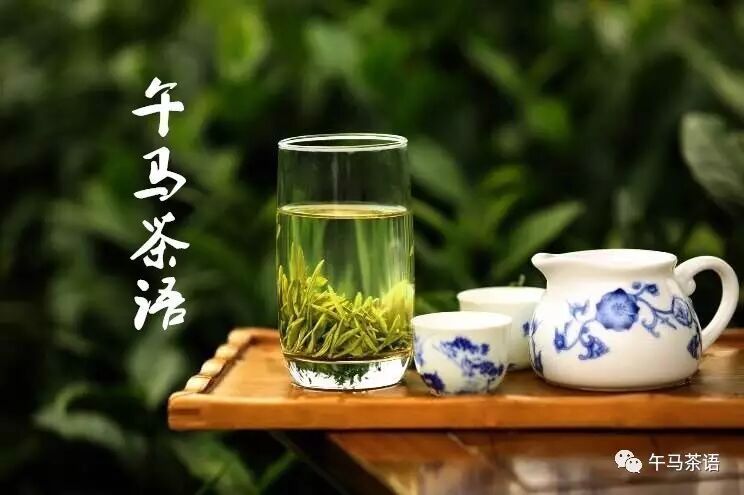 明前茶,原来真的这么好