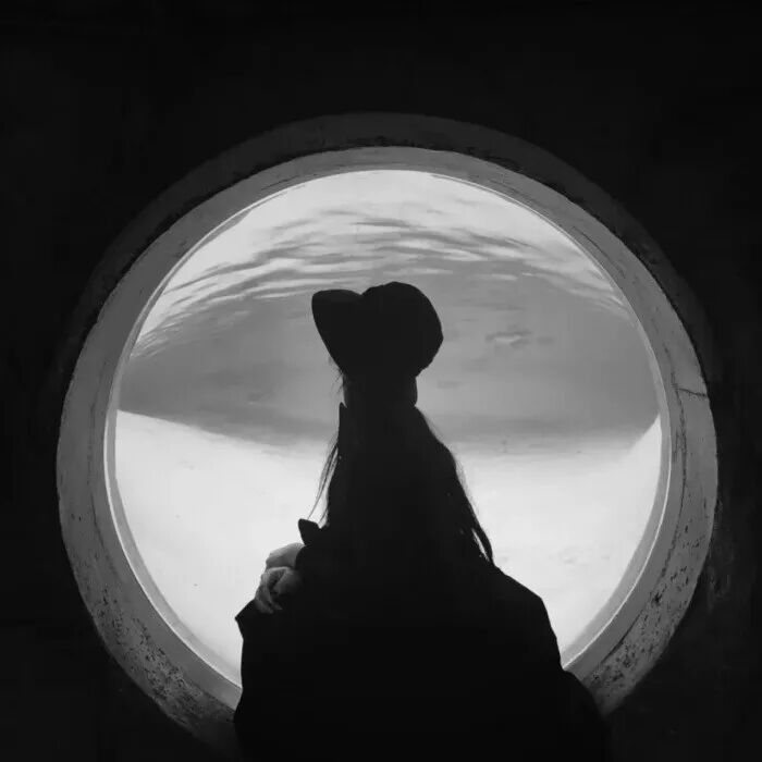 抖音最火的伤感句子! - 诗词名句网