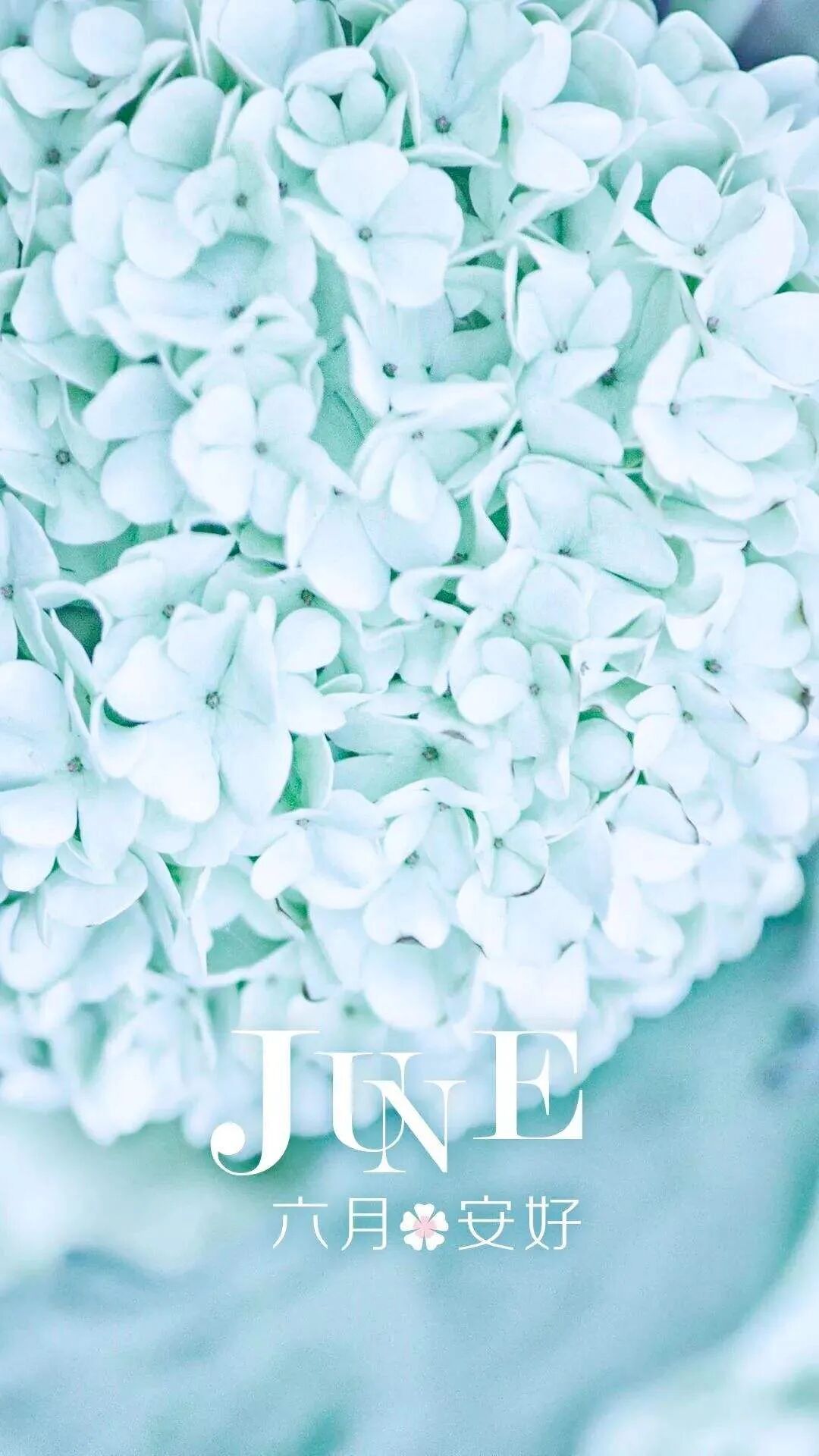 5月再见6月你好说说文案，五月再见六月你好暖心句子带好看图片 夏天你好