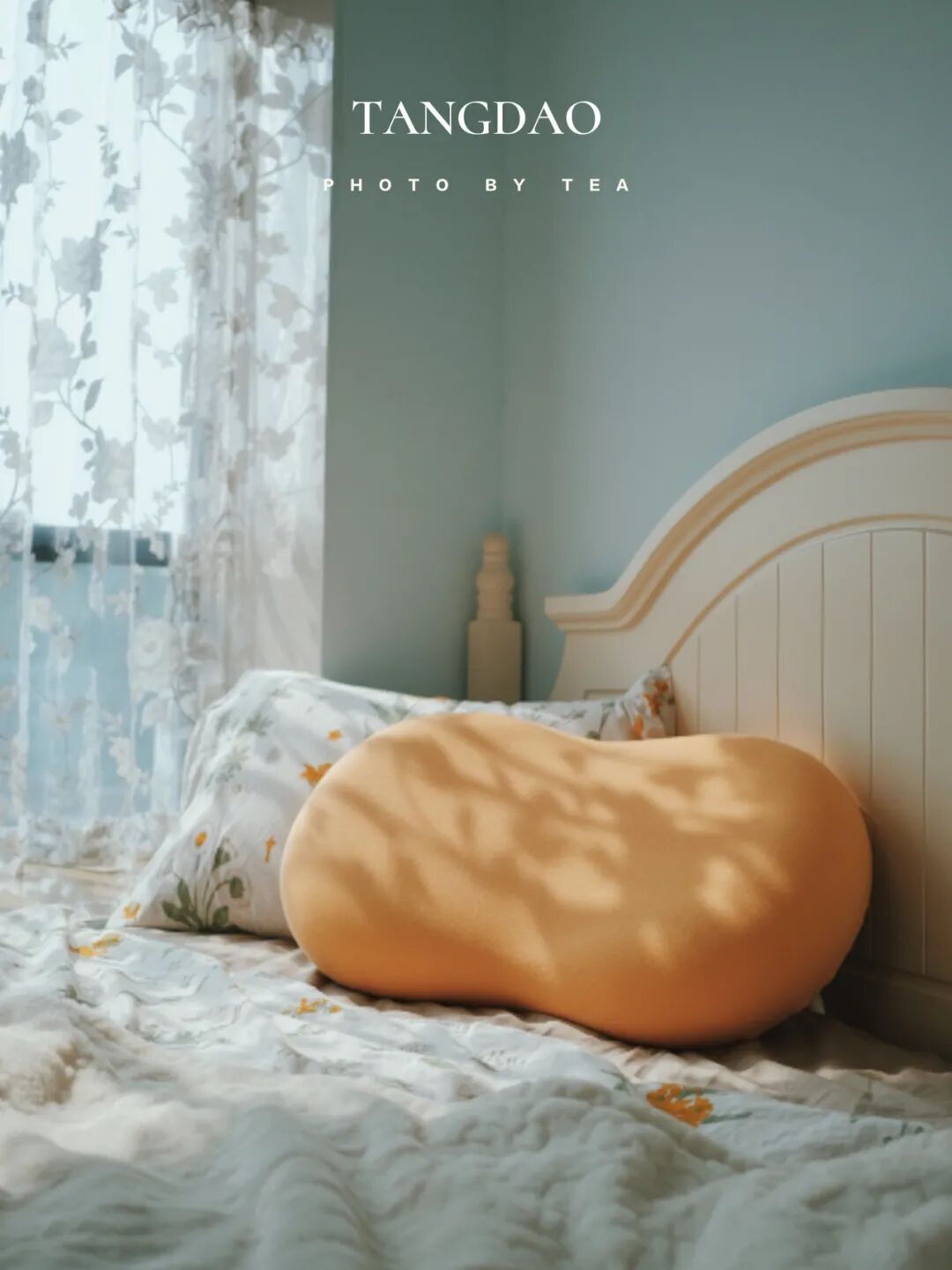 ��Ϊè��Ƥ�����Ҿ�Ȼ���˽�������һ