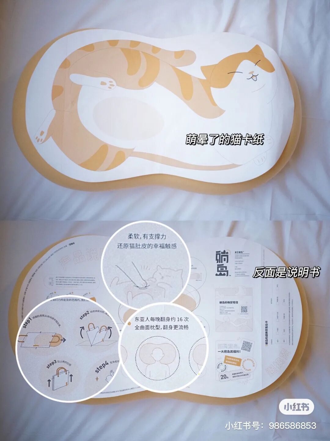 ��Ϊè��Ƥ�����Ҿ�Ȼ���˽�������һ