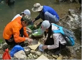 https://mmbiz.qpic.cn/mmbiz_jpg/8QNTjrGhUiczEUialzGiaMajD74b8z2l1n7jMGzVFpXcaYNeJBCxPN4cXzW66ib2mWtZrEyqmnvkGUS8G7R8HYwuMA/640?wx_fmt=jpeg&tp=webp&wxfrom=5&wx_lazy=1&wx_co=1
