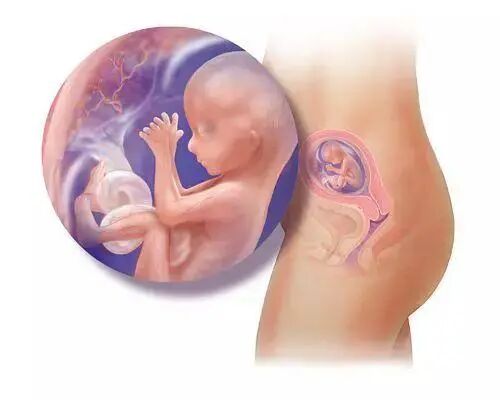 g穿刺怎么玩“一针多用”，浅谈FBN穿刺活检针的临床应用领域_https://www.jmylbn.com_新闻资讯_第4张