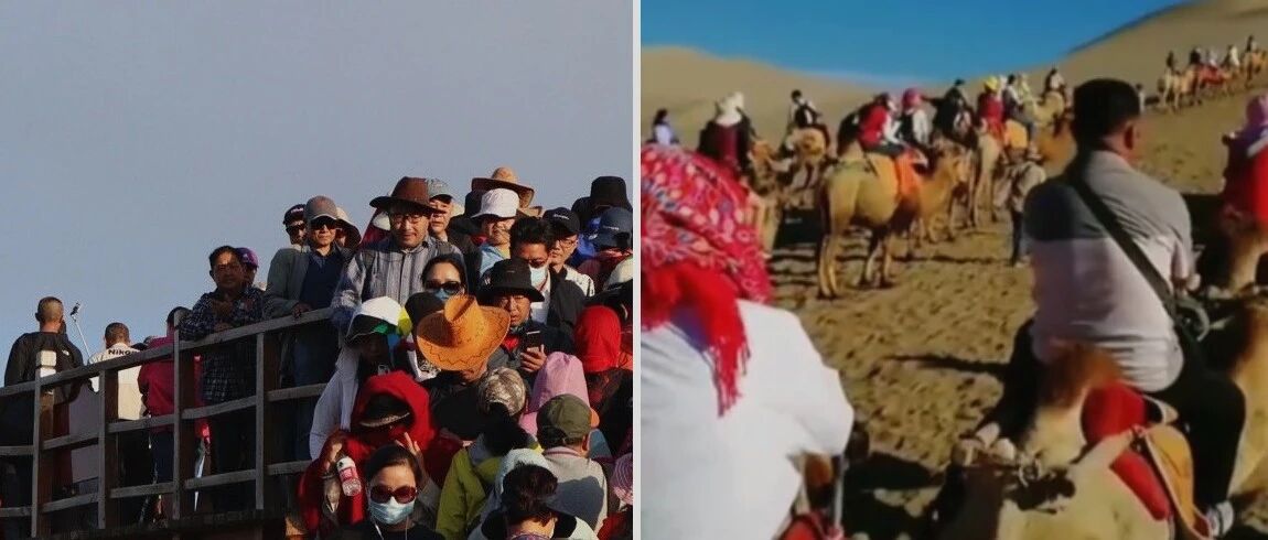 大西北终于也被“网红”的风刮懵了