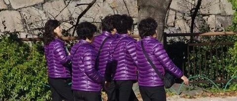 “人人都吹的明星同款，我怎么一穿就废”