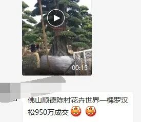 福建有钱人住的不是别墅，请尊称它一声城堡（组图） - 24
