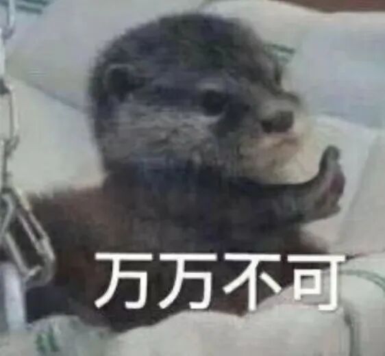 下巴决定命运_下巴命好女人_没下巴的人一般都是什么命