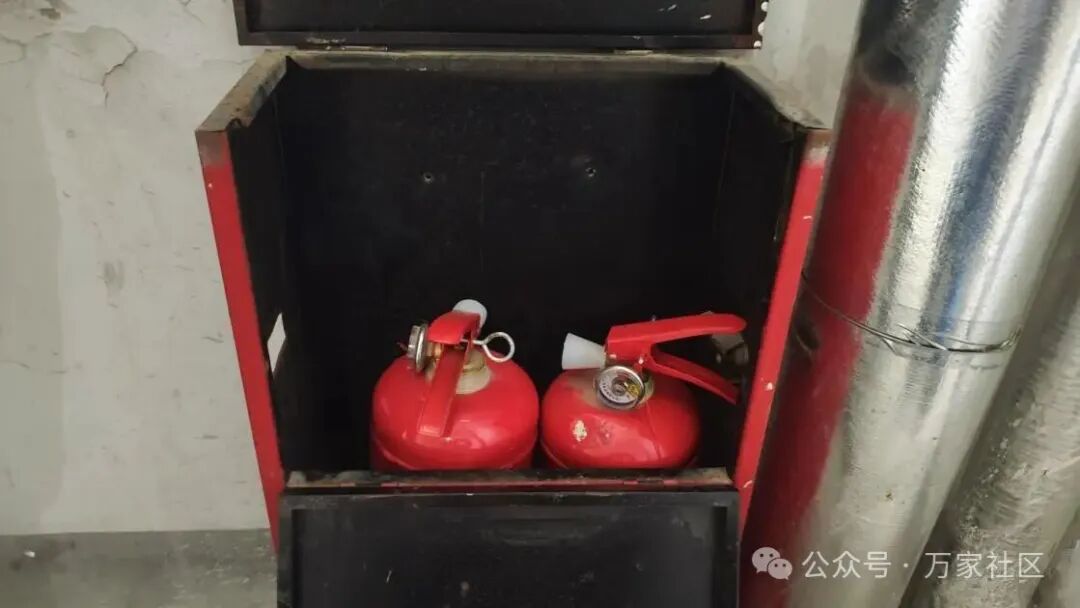 MVIMG_20251029_162819