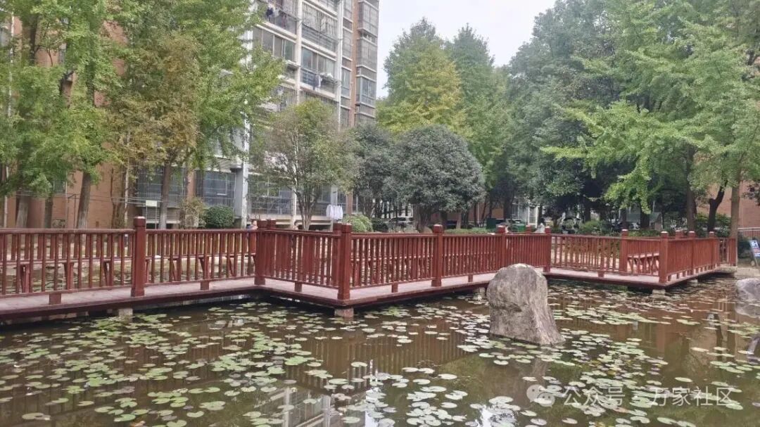 MVIMG_20251029_161742