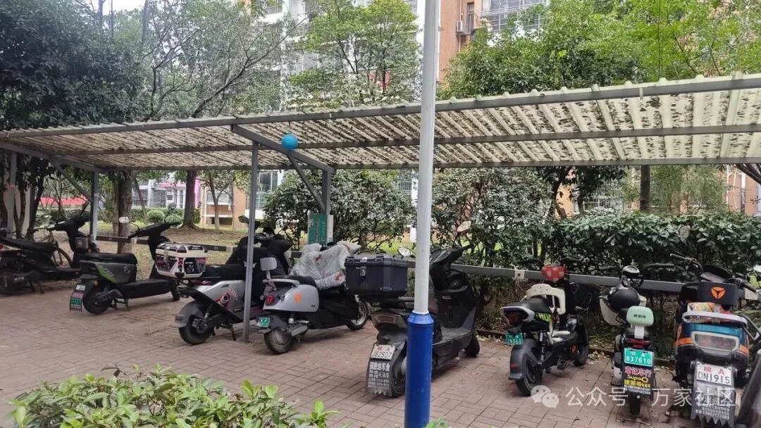 MVIMG_20251029_162537