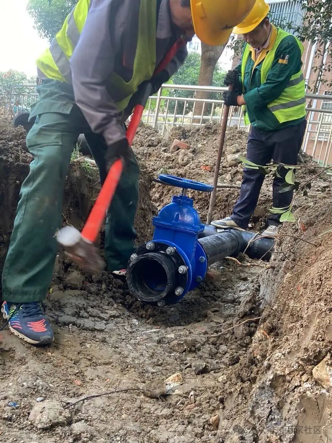 微信图片_2025-11-07_101709_648