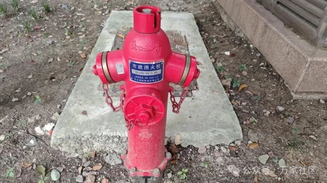 MVIMG_20251029_162047