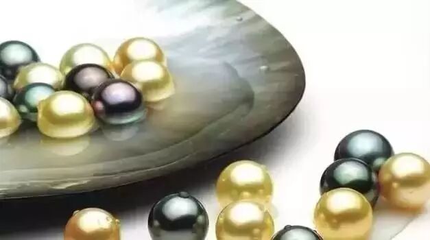 关于海水珍珠和淡水珍珠的8个问题 你知道几个 鸿昌典当