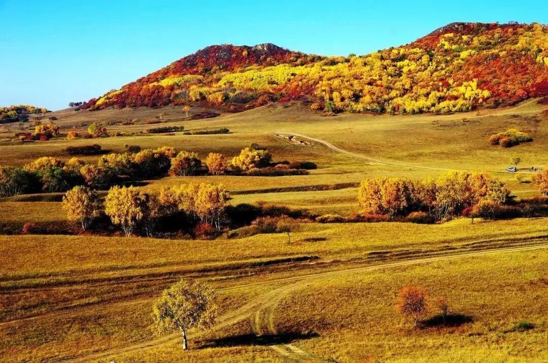 6条开往“中国最美秋天”的自驾路线，条条都是NO.1！