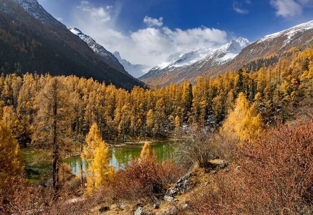 6条开往“中国最美秋天”的自驾路线，条条都是NO.1！