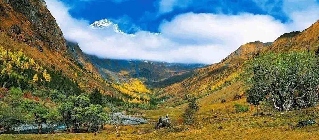 6条开往“中国最美秋天”的自驾路线，条条都是NO.1！